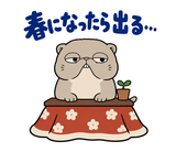 脱力ぶさかわ猫の冬のこたつのスタンプ 16