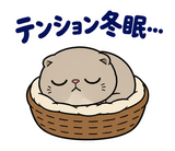 脱力ぶさかわ猫の冬のこたつのスタンプ 28
