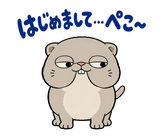 脱力ぶさかわ猫の冬のこたつのスタンプ 36