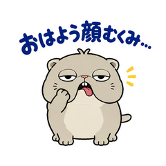 脱力ぶさかわ猫のゆるい返事のメイン画像