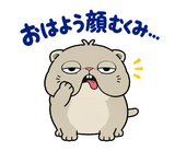 脱力ぶさかわ猫のゆるい返事のスタンプ