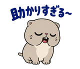 脱力ぶさかわ猫のゆるい返事のスタンプ