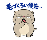 脱力ぶさかわ猫のゆるい返事のスタンプ 14