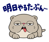 脱力ぶさかわ猫のゆるい返事のスタンプ 16