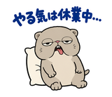 脱力ぶさかわ猫のゆるい返事のスタンプ 19