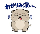 脱力ぶさかわ猫のゆるい返事のスタンプ 24