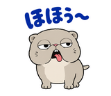 脱力ぶさかわ猫のゆるい返事のスタンプ 25