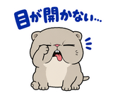 脱力ぶさかわ猫のゆるい返事のスタンプ 26