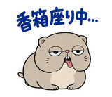 脱力ぶさかわ猫のゆるい返事のスタンプ 31