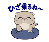 脱力ぶさかわ猫のゆるい返事のスタンプ 34