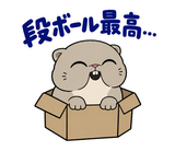 脱力ぶさかわ猫のゆるい返事のスタンプ 35