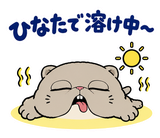 脱力ぶさかわ猫のゆるい返事のスタンプ 36
