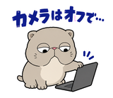 脱力ぶさかわ猫の在宅ワークのスタンプ 15