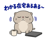 脱力ぶさかわ猫の在宅ワークのスタンプ 24