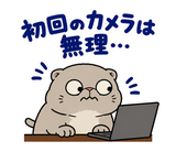 脱力ぶさかわ猫の在宅ワークのスタンプ 25