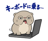 脱力ぶさかわ猫の在宅ワークのスタンプ 29