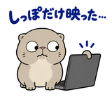 脱力ぶさかわ猫の在宅ワークのスタンプ 30