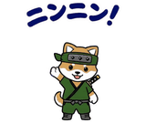 動く柴のござる返事のスタンプ 1