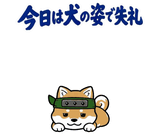 動く柴のござる返事のスタンプ 24