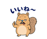 動く脱力リス｜表情が変わる返事スタンプのスタンプ 8