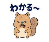 動く脱力リス｜表情が変わる返事スタンプのスタンプ 17