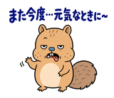 脱力リスのがんばらなくていい日のスタンプ 20