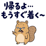 脱力リスの家族れんらく【動く】のスタンプ 8