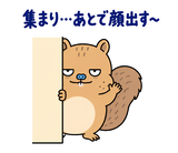 脱力リスの家族れんらくのスタンプ 20
