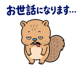 脱力リスの仕事の返事【敬語】のスタンプ 6