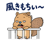 脱力リスの週末ぐうたら｜毎日使えるのスタンプ 27