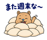 脱力リスの週末ぐうたら｜毎日使えるのスタンプ 40