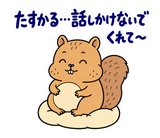 脱力リスのやんわりお断りのスタンプ 9