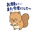 脱力リスのやんわりお断りのスタンプ 15