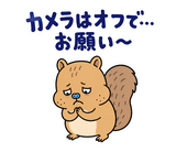 脱力リスの在宅ワークひとりごとのスタンプ 7