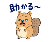 脱力リスのゆるい返事スタンプのスタンプ 11