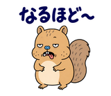 脱力リスのゆるい返事スタンプのスタンプ 25