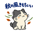 ハチワレ猫の秋・ず〜っと使えるスタンプのスタンプ 1