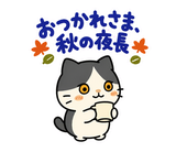 ハチワレ猫の秋・ず〜っと使えるスタンプのスタンプ 7