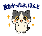 ハチワレ猫の秋・ず〜っと使えるスタンプのスタンプ 10