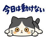 ハチワレ猫の秋・ず〜っと使えるスタンプのスタンプ 14