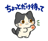 ハチワレ猫の秋・ず〜っと使えるスタンプのスタンプ 15