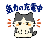 ハチワレ猫の秋・ず〜っと使えるスタンプのスタンプ 18