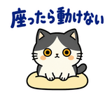 ハチワレ猫の秋・ず〜っと使えるスタンプのスタンプ 20