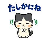 ハチワレ猫の秋・ず〜っと使えるスタンプのスタンプ 22