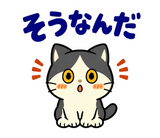 ハチワレ猫の秋・ず〜っと使えるスタンプのスタンプ 24