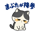 ハチワレ猫の秋・ず〜っと使えるスタンプのスタンプ 27