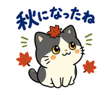 ハチワレ猫の秋・ず〜っと使えるスタンプのスタンプ 29
