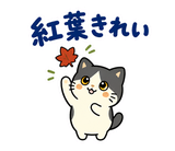 ハチワレ猫の秋・ず〜っと使えるスタンプのスタンプ 30