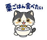 ハチワレ猫の秋・ず〜っと使えるスタンプのスタンプ 32