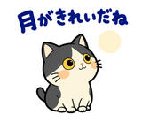 ハチワレ猫の秋・ず〜っと使えるスタンプのスタンプ 35
